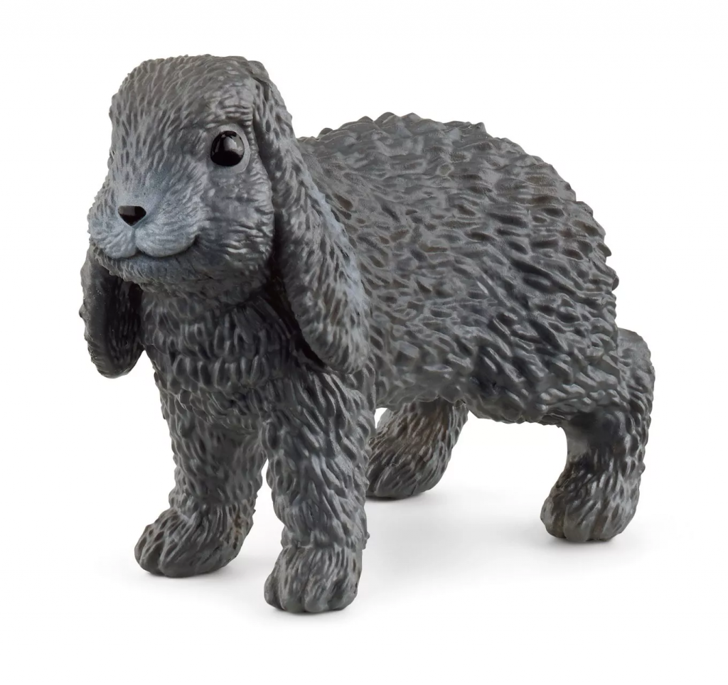 Lop-Eared Rabbit