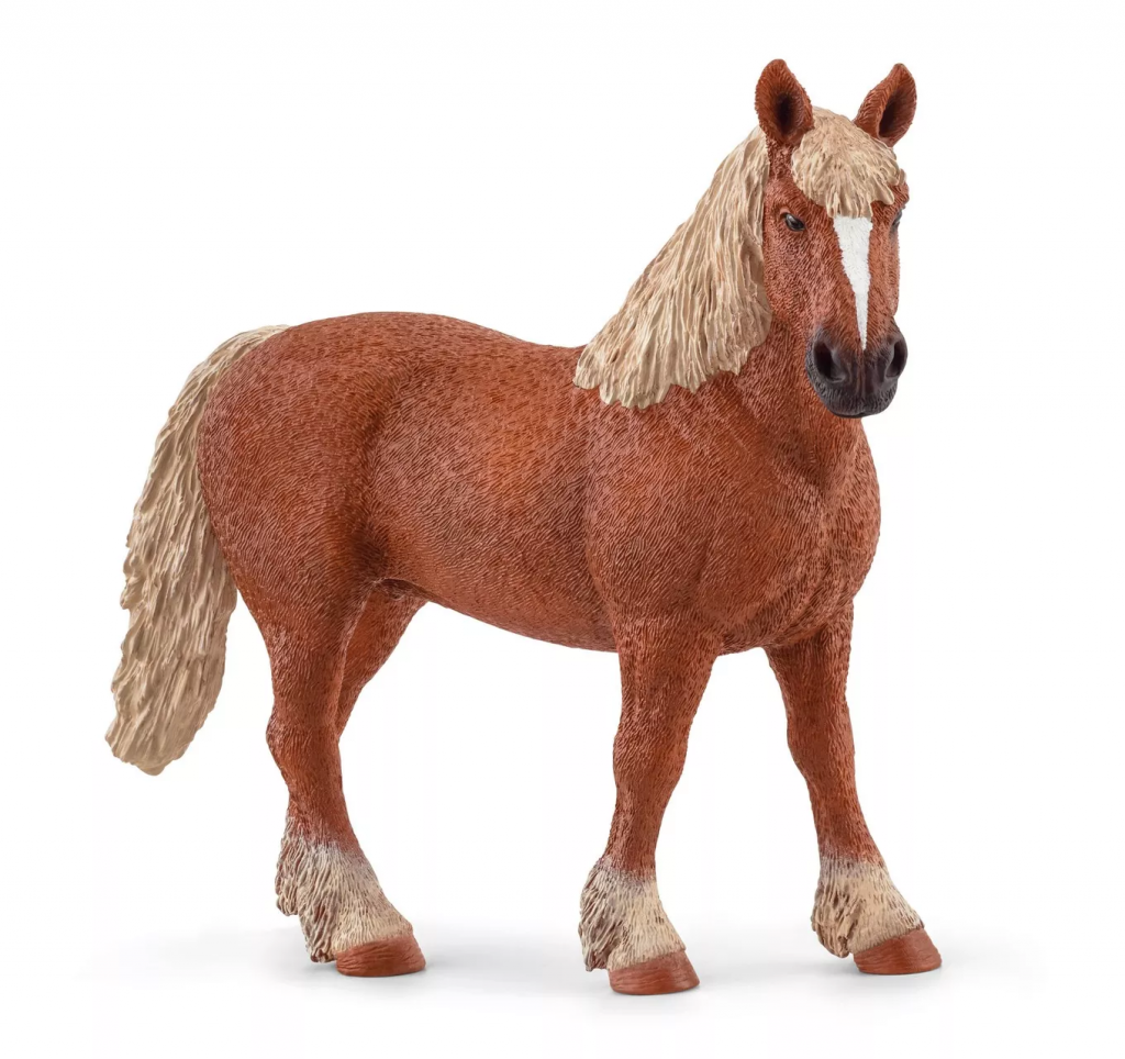Belgian Draft Horse