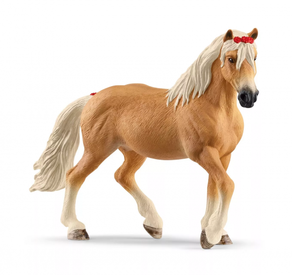 Haflinger Mare