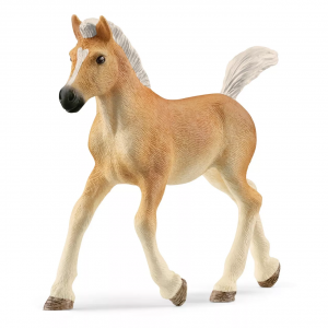 Haflinger Foal 13951