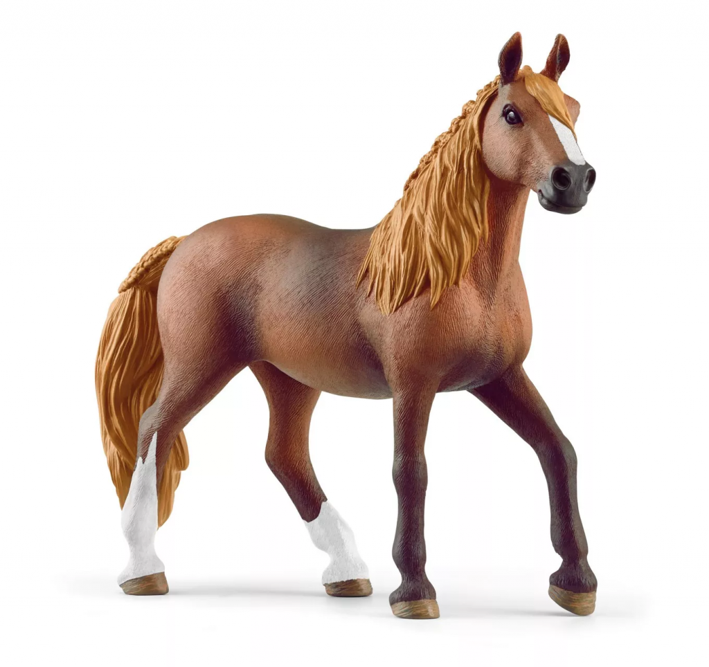 Paso Peruano Mare