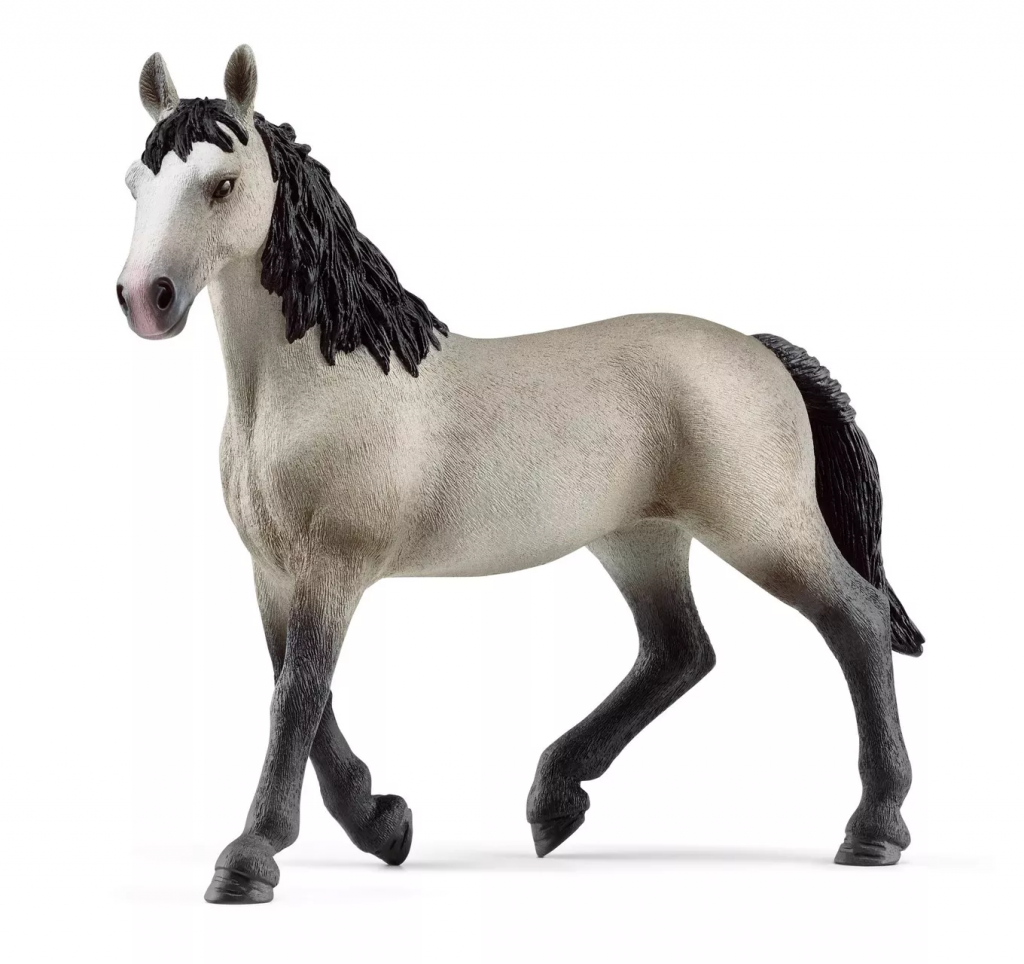 Cheval de Selle Francais Mare
