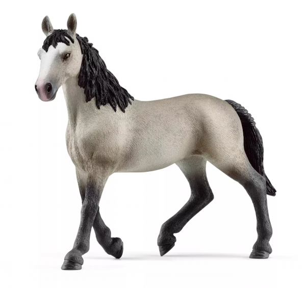 Cheval de Selle Francais Mare