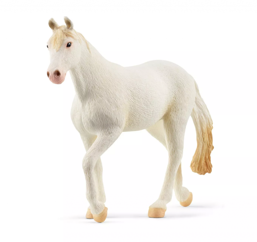 Camarillo Mare