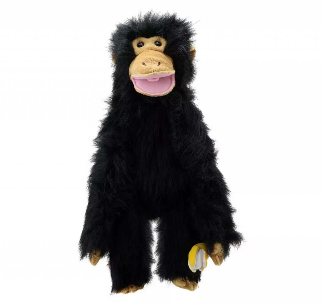 Chimp (Medium)