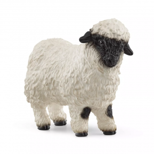 Valais Black-Nose Sheep
