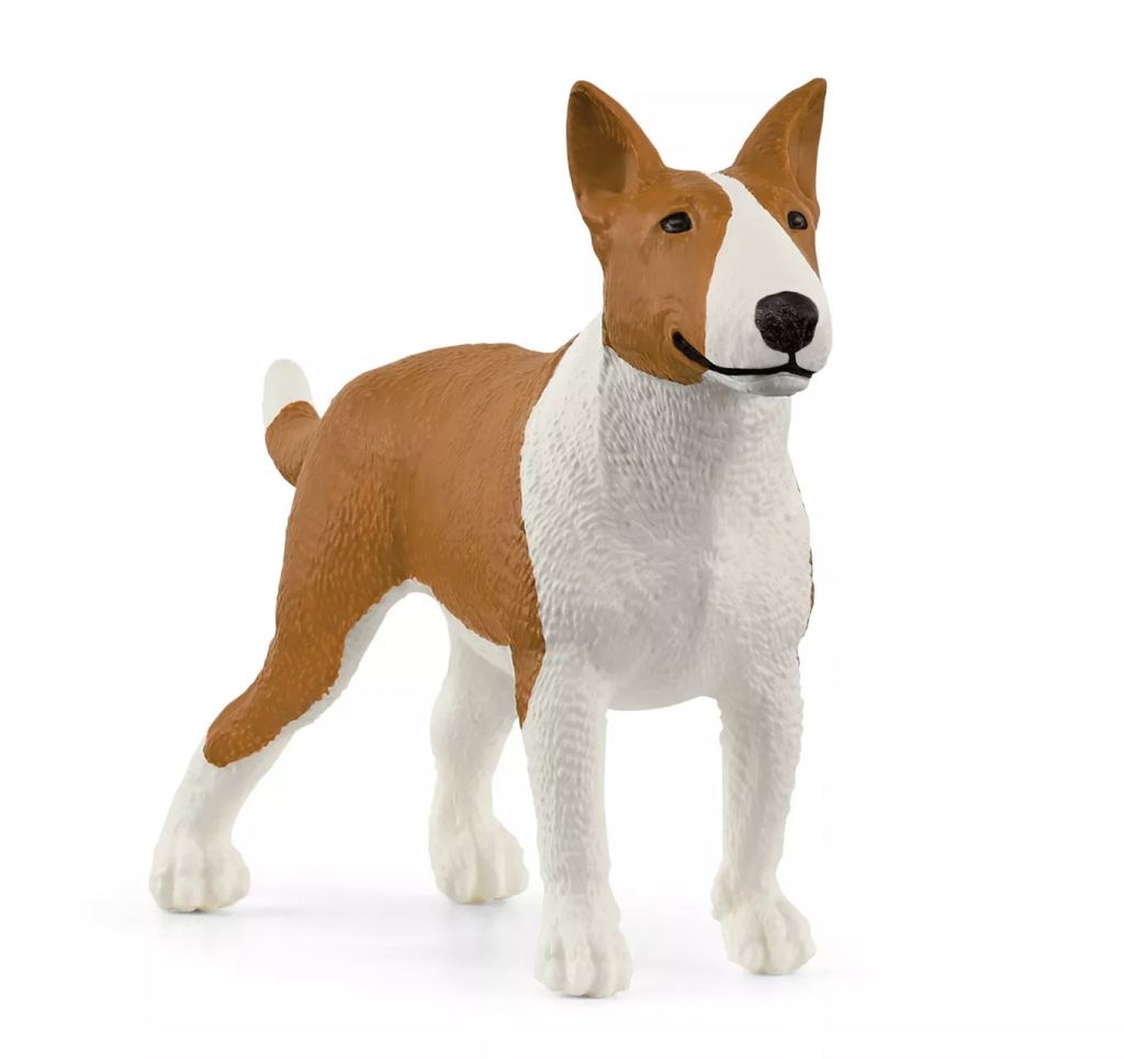 Bull Terrier