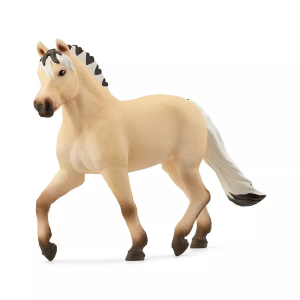 Norweigian Fjord Horse Mare