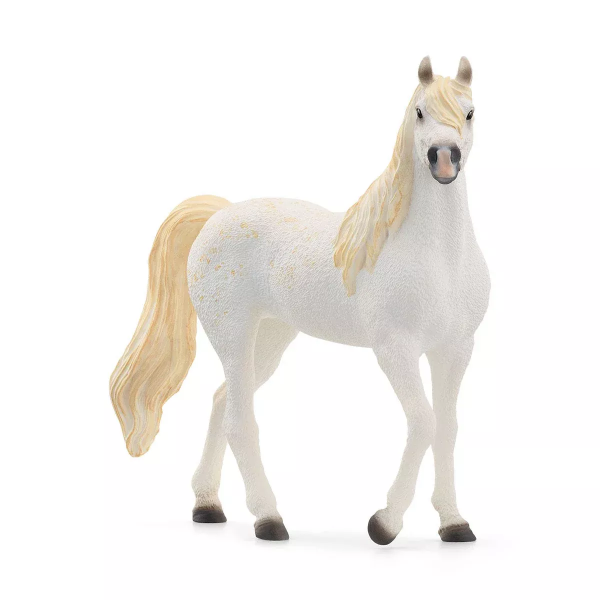 Arab Mare 2024