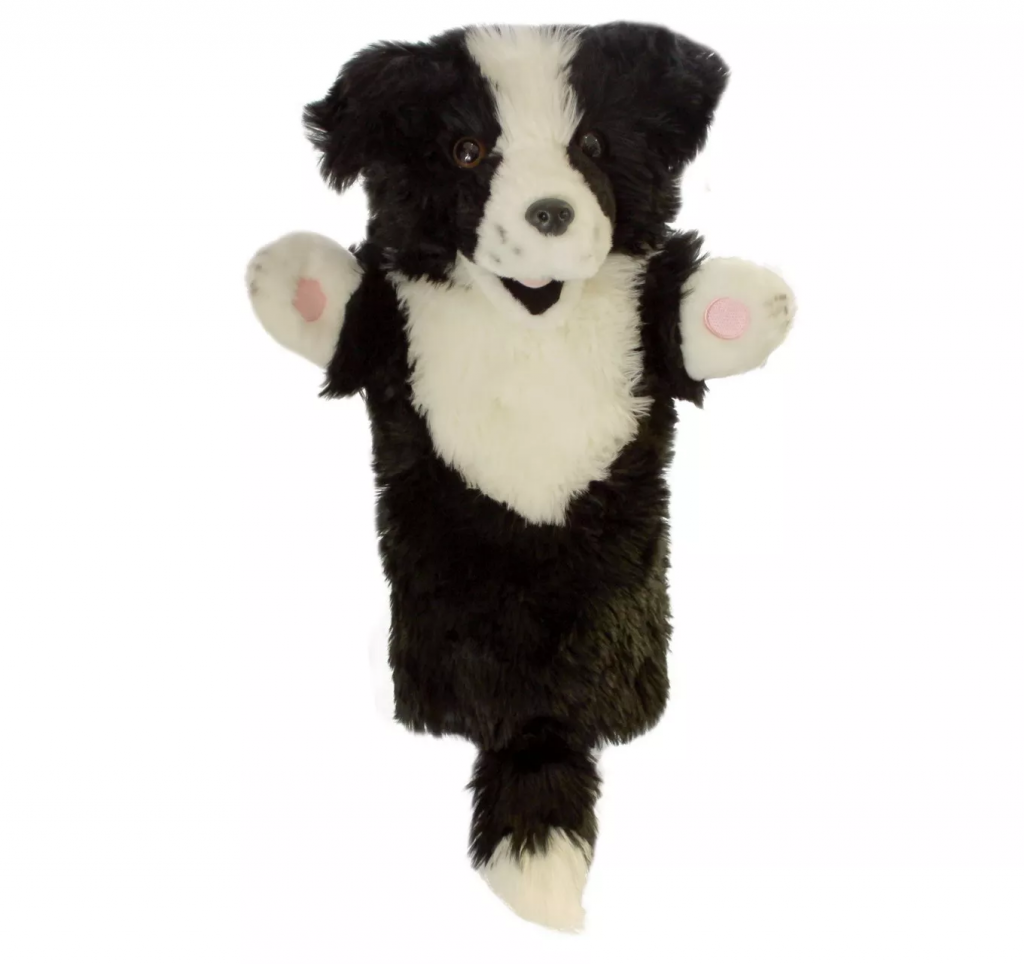 Long-Sleeve Border Collie