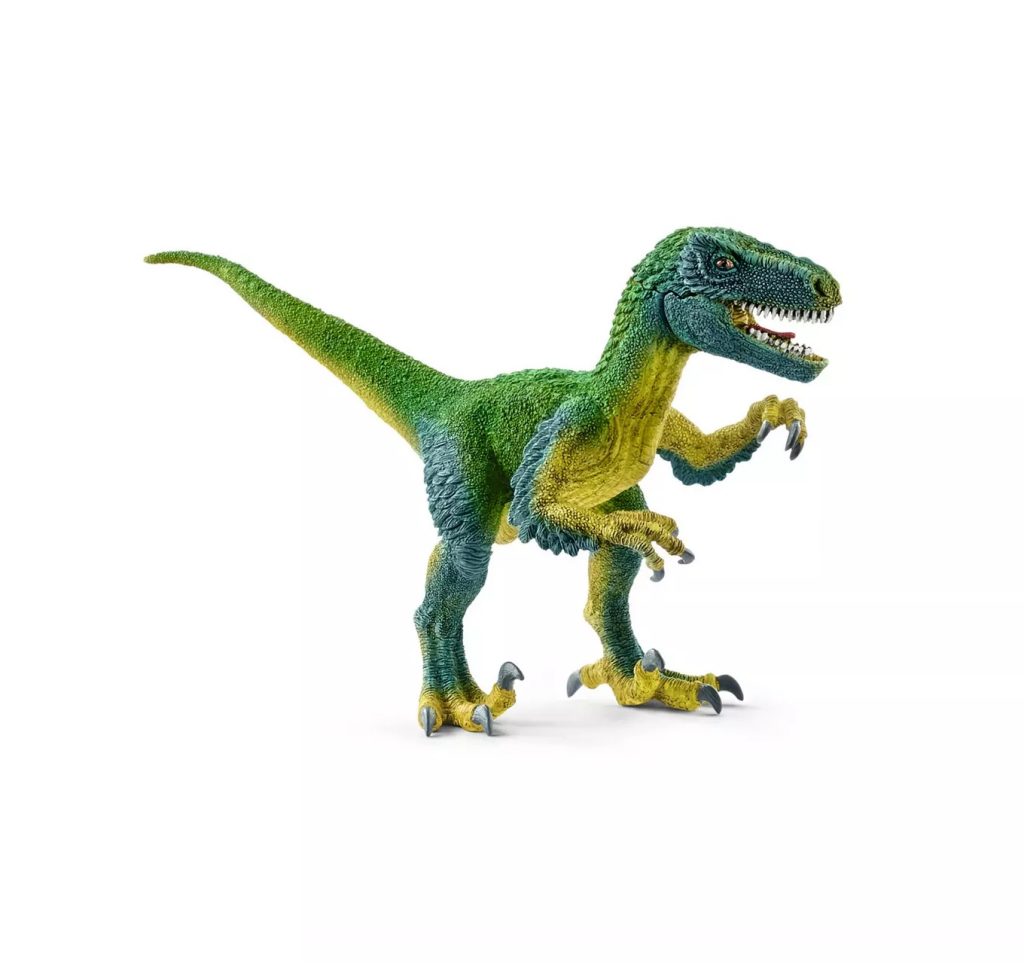 Velociraptor