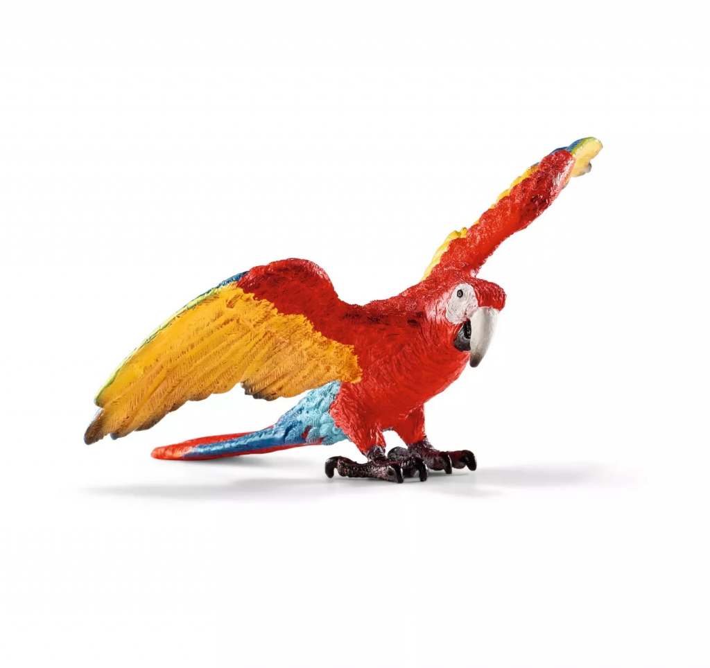 Macaw