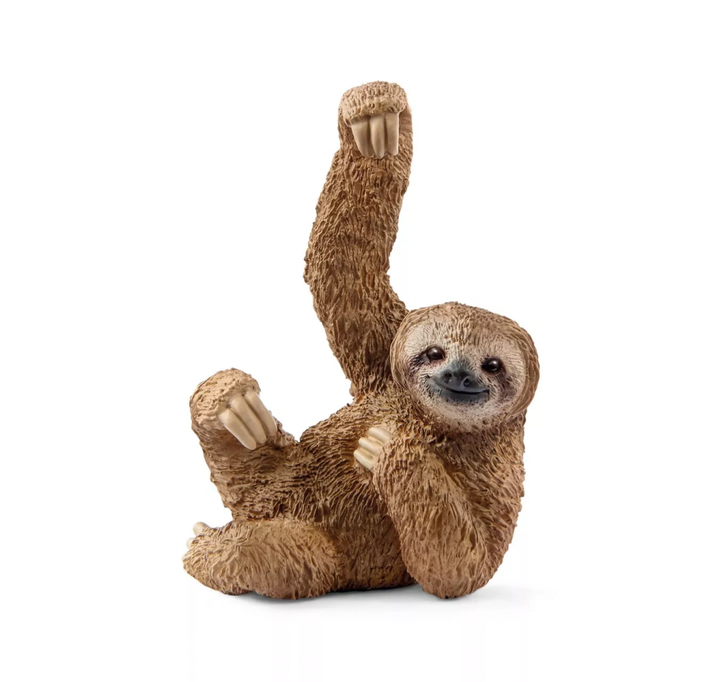 Sloth