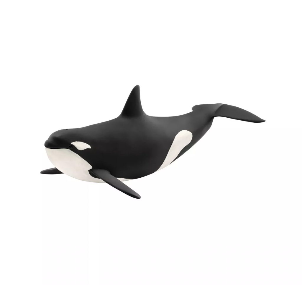 Killer Whale