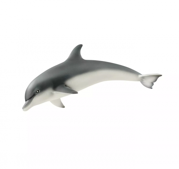 Dolphin