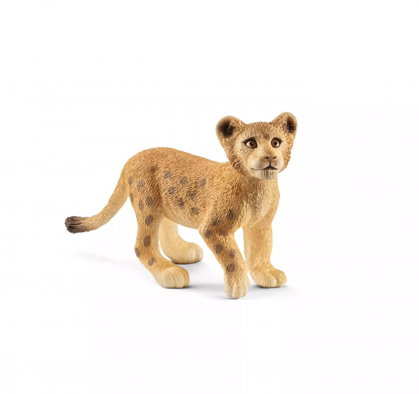 Lion Cub