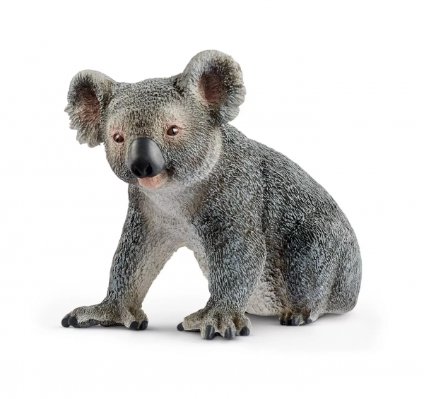 Koala Bear