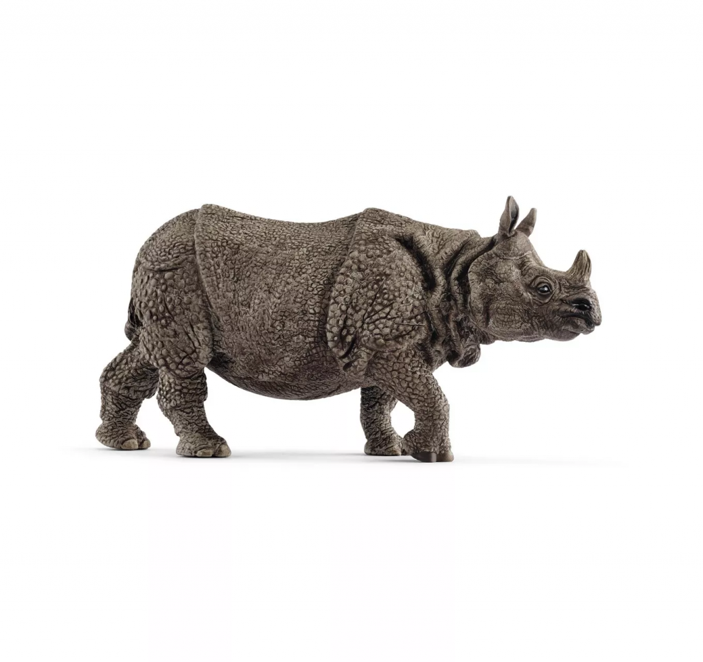 Indian Rhinoceros