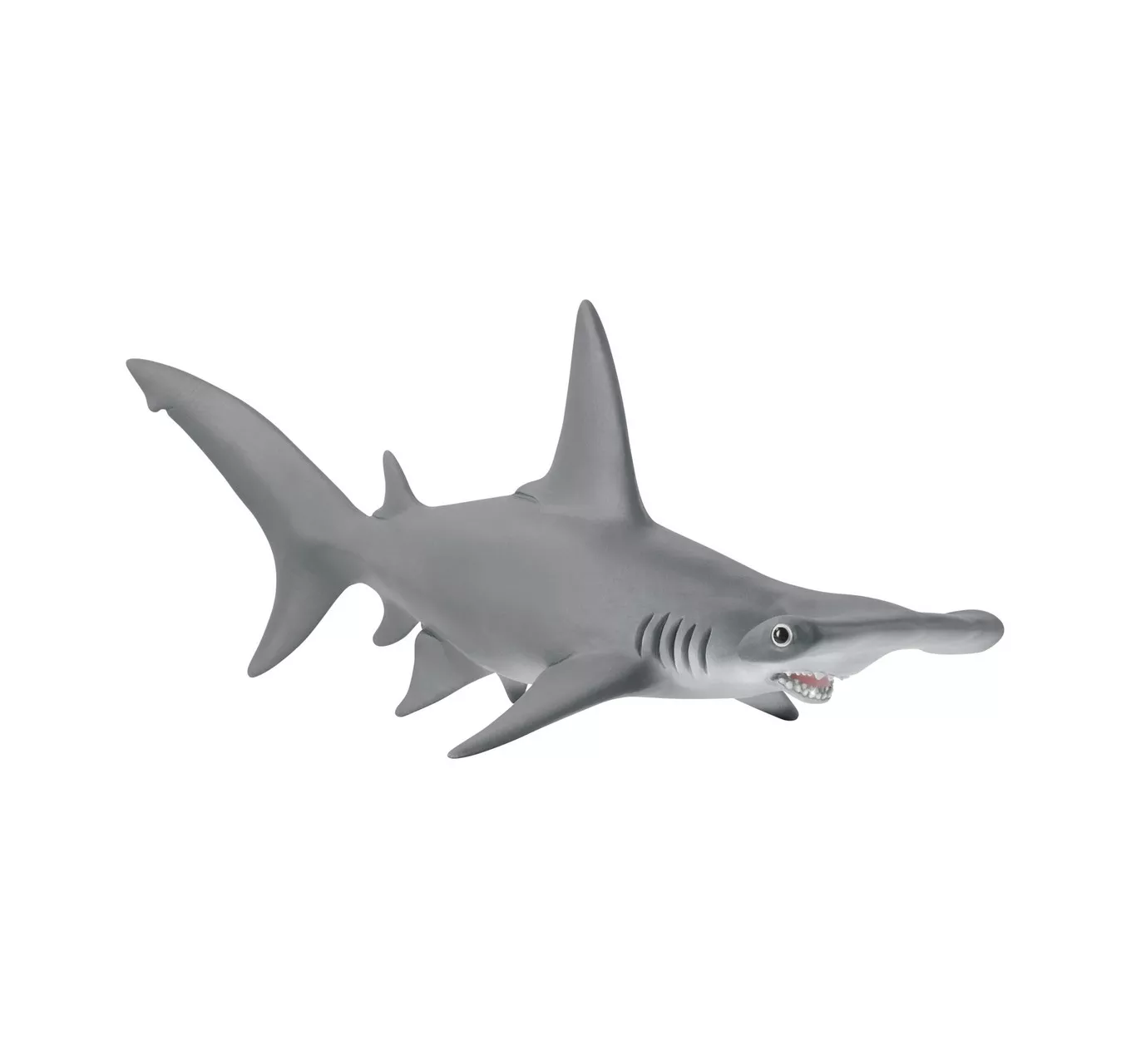 Hammerhead Shark