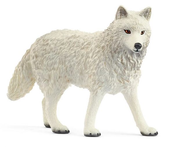 Arctic Wolf