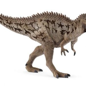 Carcharodontosaurus