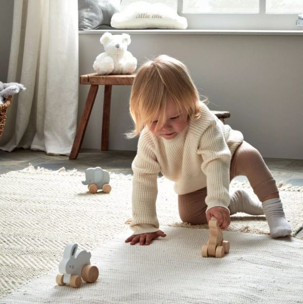 Bambino Wooden Toy Push Animals - Each - Image 4