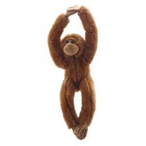 Canopy Climbers: Orangutan