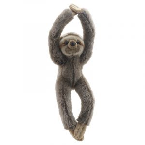 Canopy Climbers: Sloth