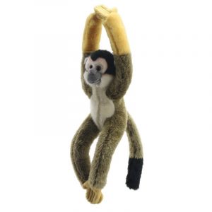 Canopy Climbers: Squirrel Monkey