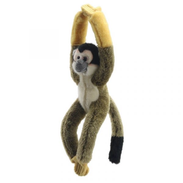 Canopy Climbers: Squirrel Monkey